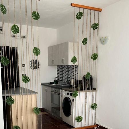 Appartement Garsoniera Saturn à Mangalia Extérieur photo